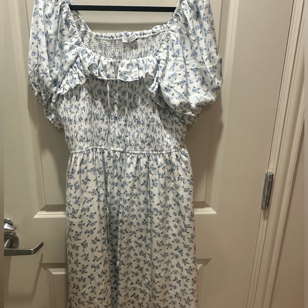 Ivy City Co Blue Floral Dress